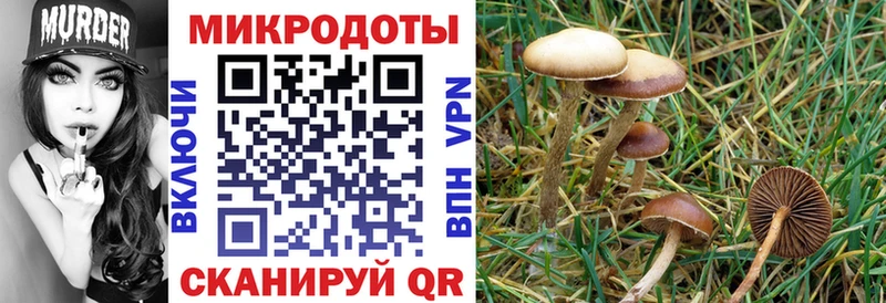 Псилоцибиновые грибы MAGIC MUSHROOMS Отрадная